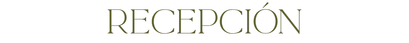 E (14)